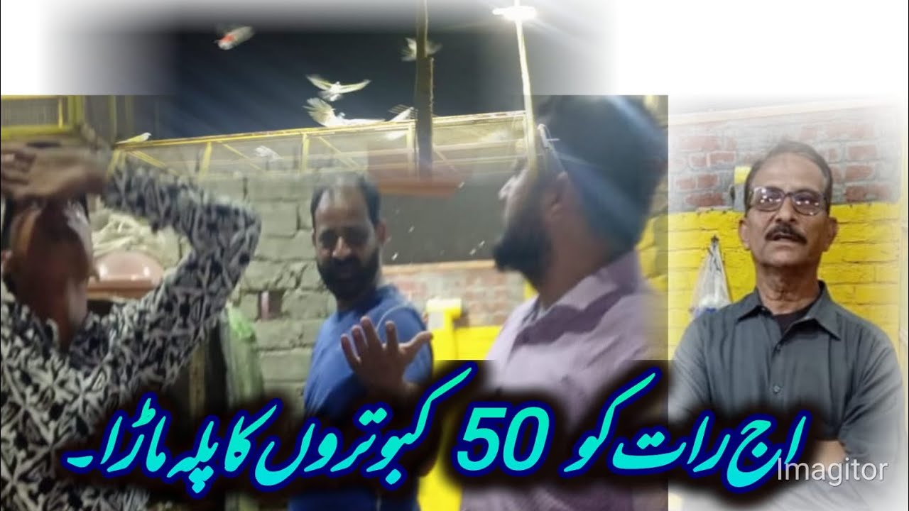 raat ko 50 kabutaron ka palla mara khalifa Abdullah ki chhat per ustad alik tanvir aman Sahab bhi sa