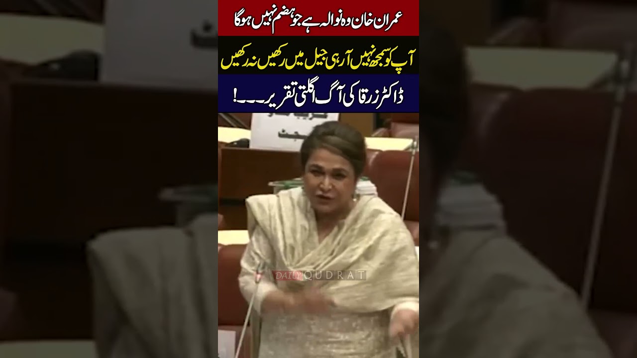 Dr Zarqa Taimur Powerful Speech Shakes The Senate PTI Vs Government Daily Qudrat 🚨🔥😱