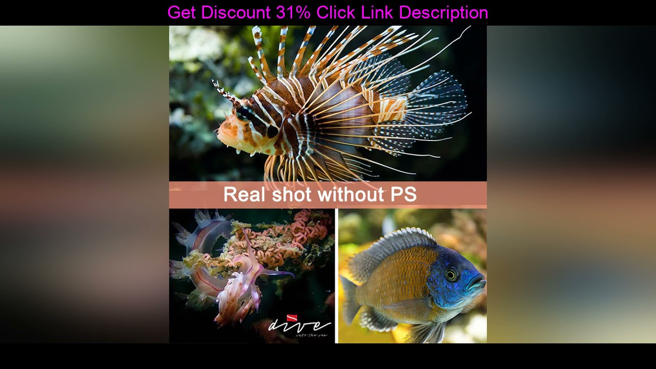 Best DM20 II 5200K max 6000lumen diving video & spot lights HD red UV photo fill lights torch under