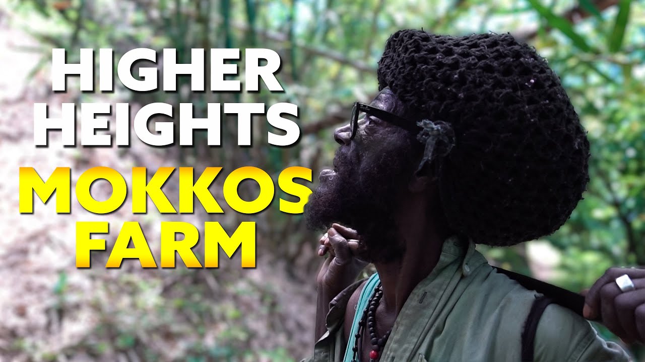 Off to Higher Hight's Mokko's Farm part 1