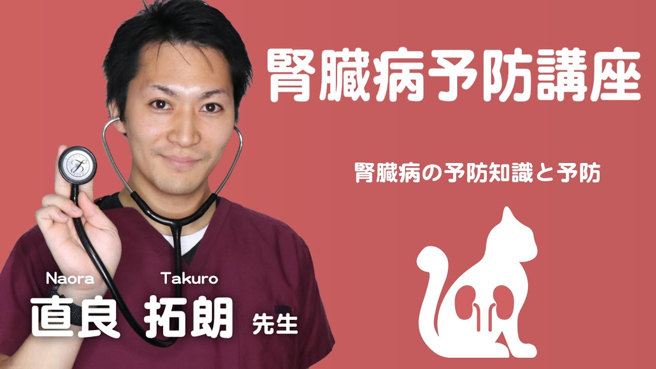 愛猫ちゃんの「健康長寿のための予防学」講座 （腎臓病編）【サンプル】