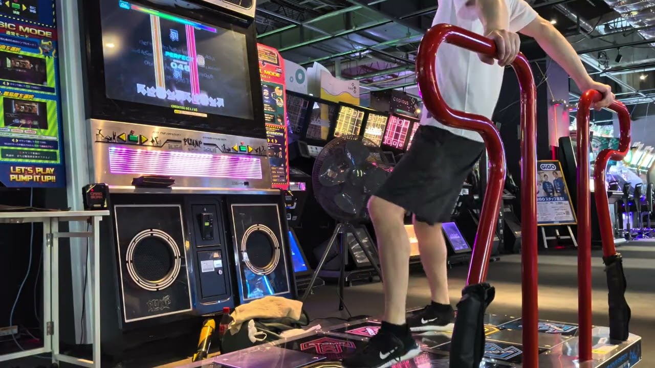 [PIU] Halcyon D24 BO✨️