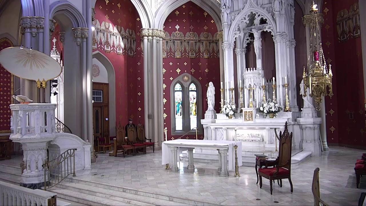 2026 0208 HNJ Sunday 8AM Mass - Fifth Sunday in Ordinary Time