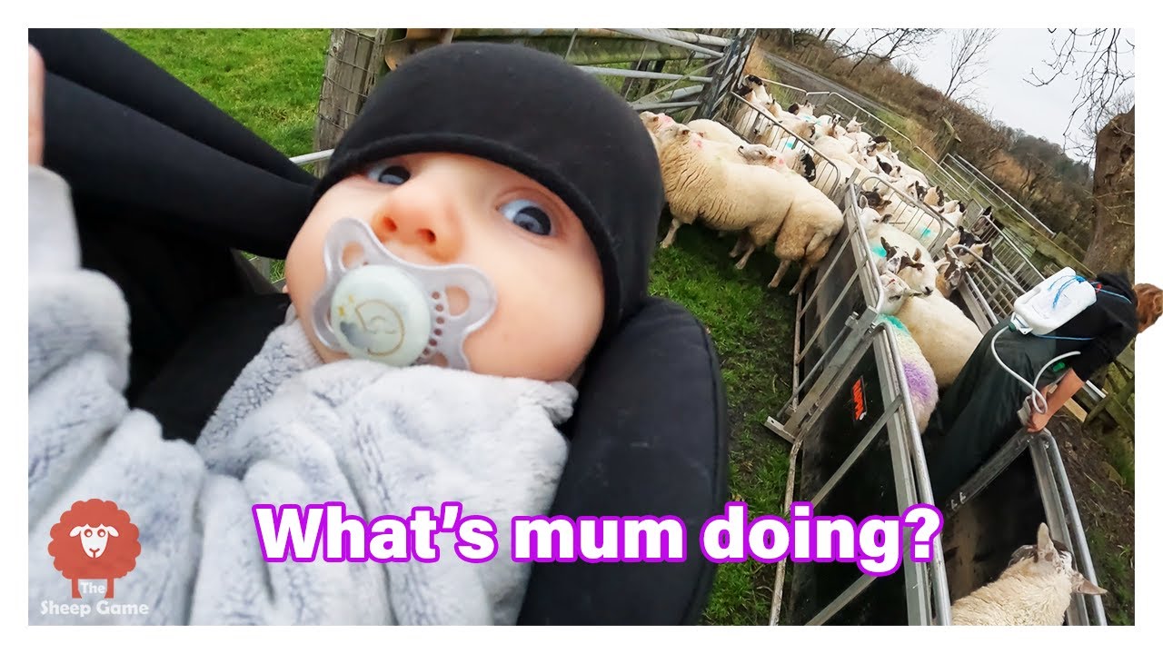 FARM KID GOES TO WORK!   Teaching the next generation about farming and hard work.