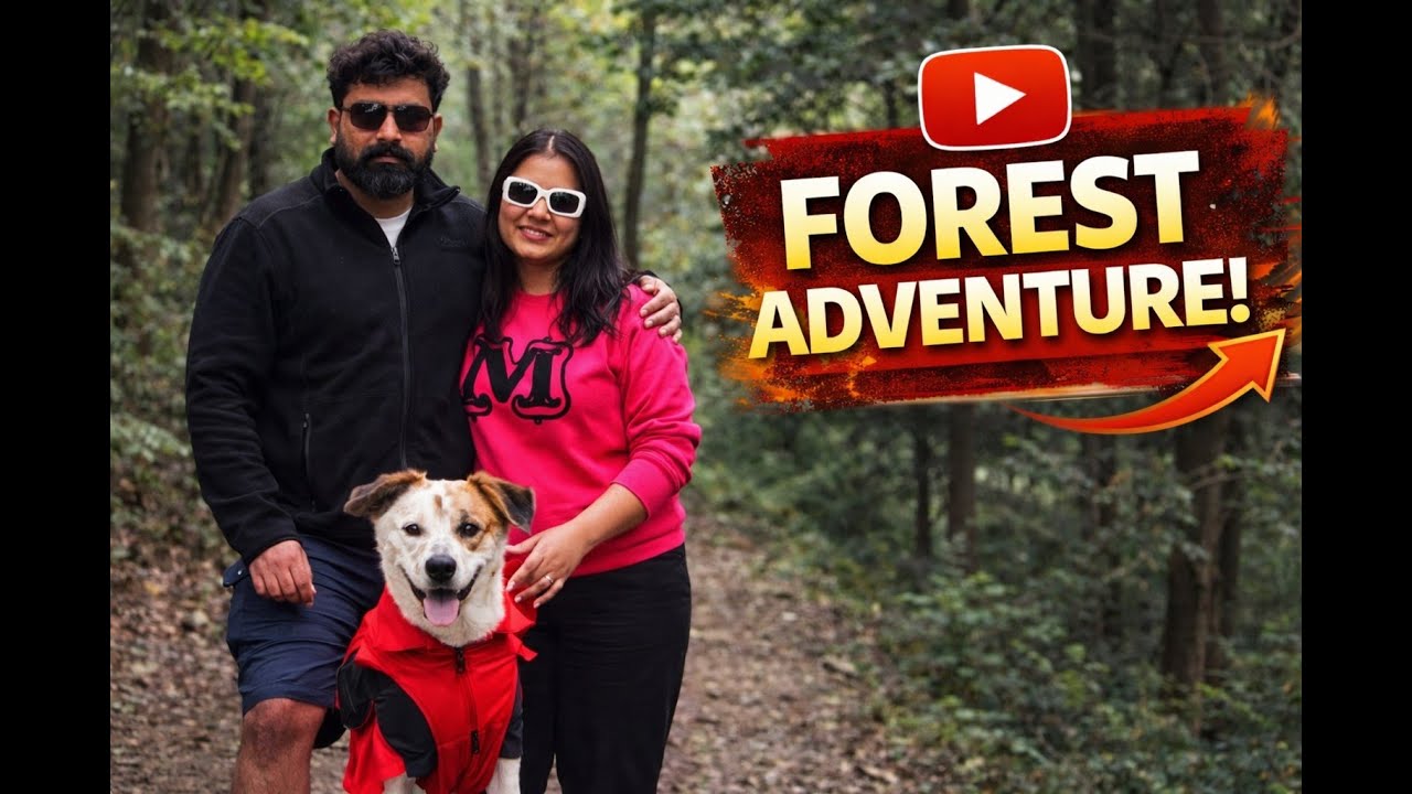 Day 2 in Kimsar | Morning Forest Walk With Our Dog in an Untouched Paradise