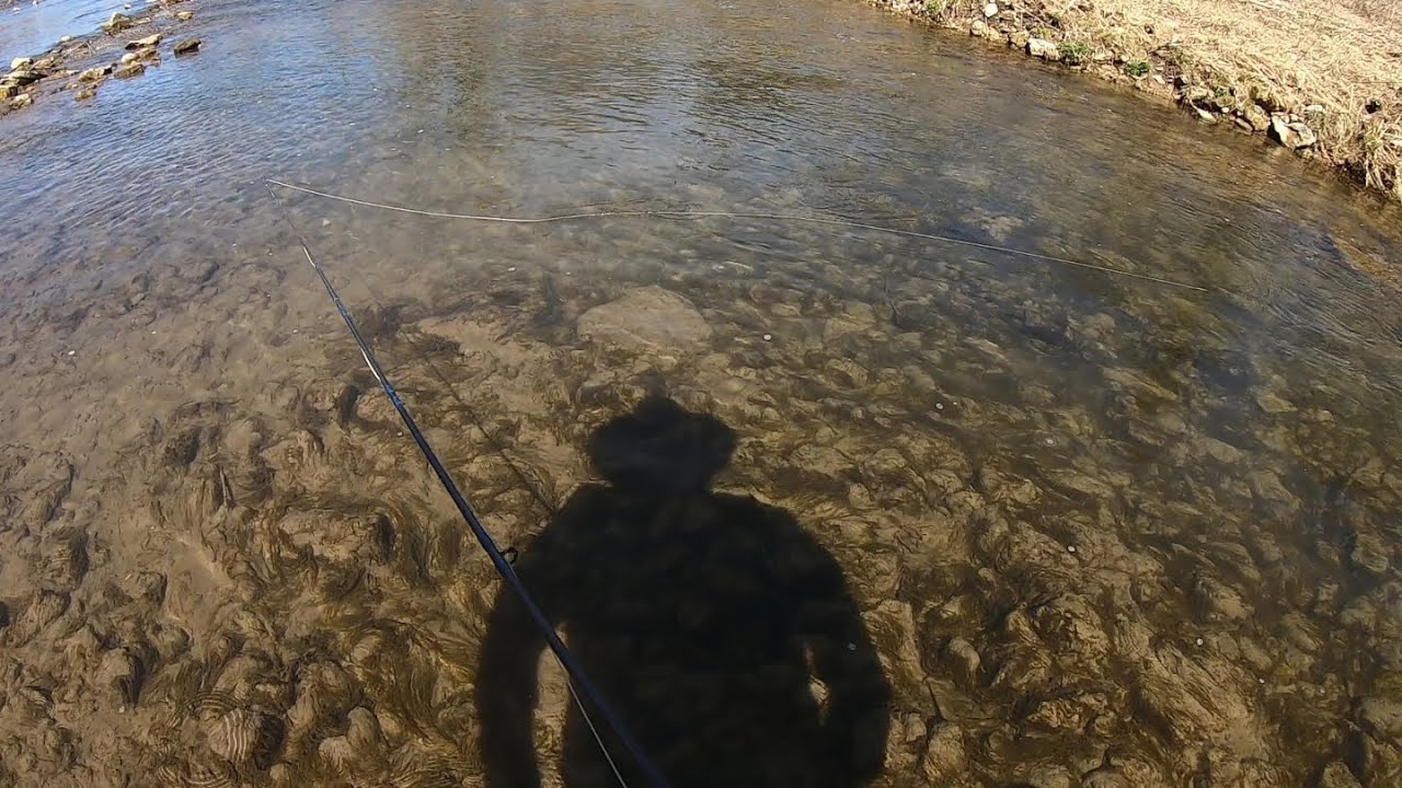 Waterloo and French Creek, Iowa Driftless