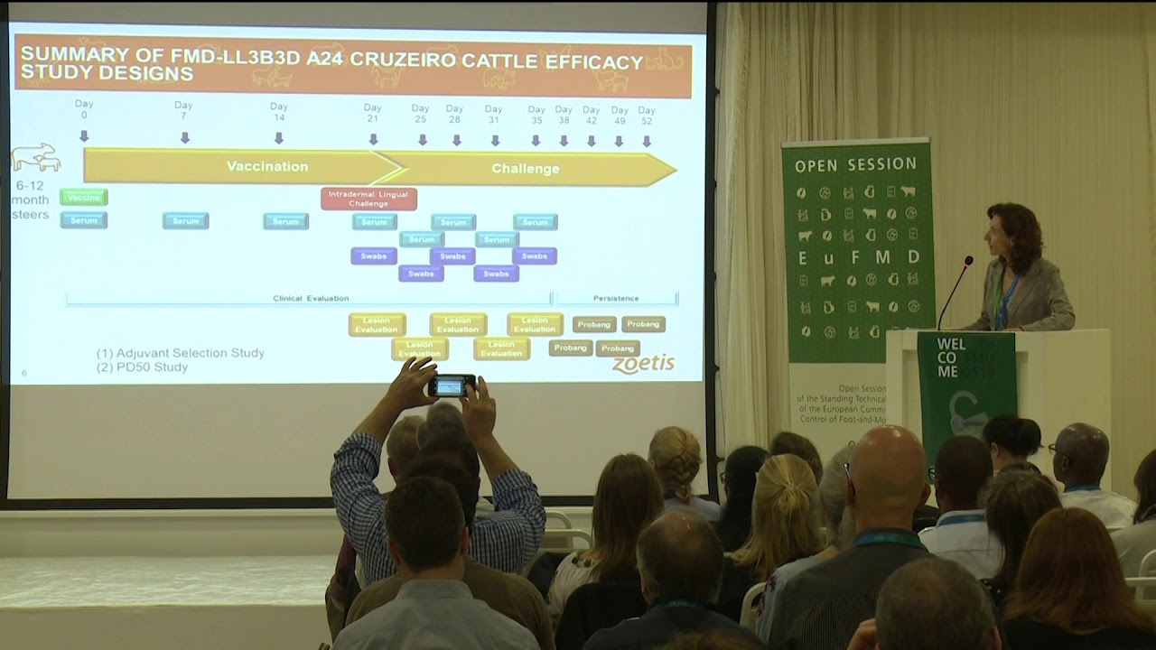 M. Mourino + E. Rieder - Attenuated FMD vaccines (FMD-LL3B3D vaccine platform: safe, highly [...]