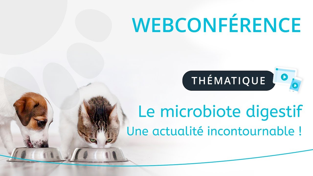 Microbiote digestif : une actualité incontournable ! - Dr vétérinaire Valérie Freiche