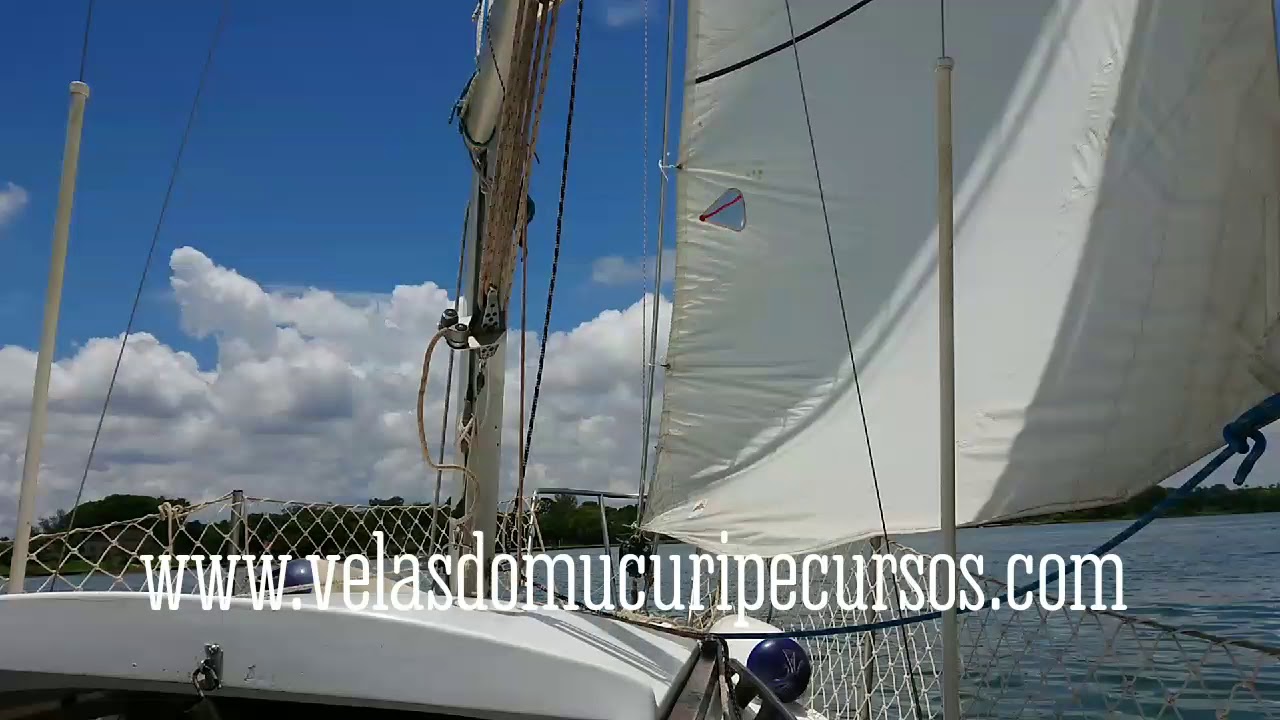 Para que servem as birutas da genoa