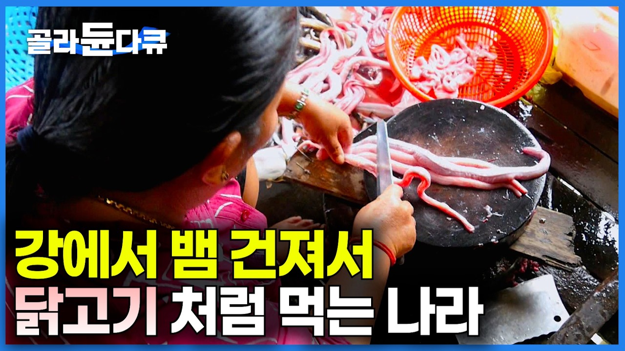 악어가 사는 호수 위에서 물고기 대신 뱀 잡아서 먹고 사는 사람들｜많이 잡혀서 닭고기 처럼 먹는다. '톤레사프' 호수 사람들｜극한직업｜#골라듄다큐