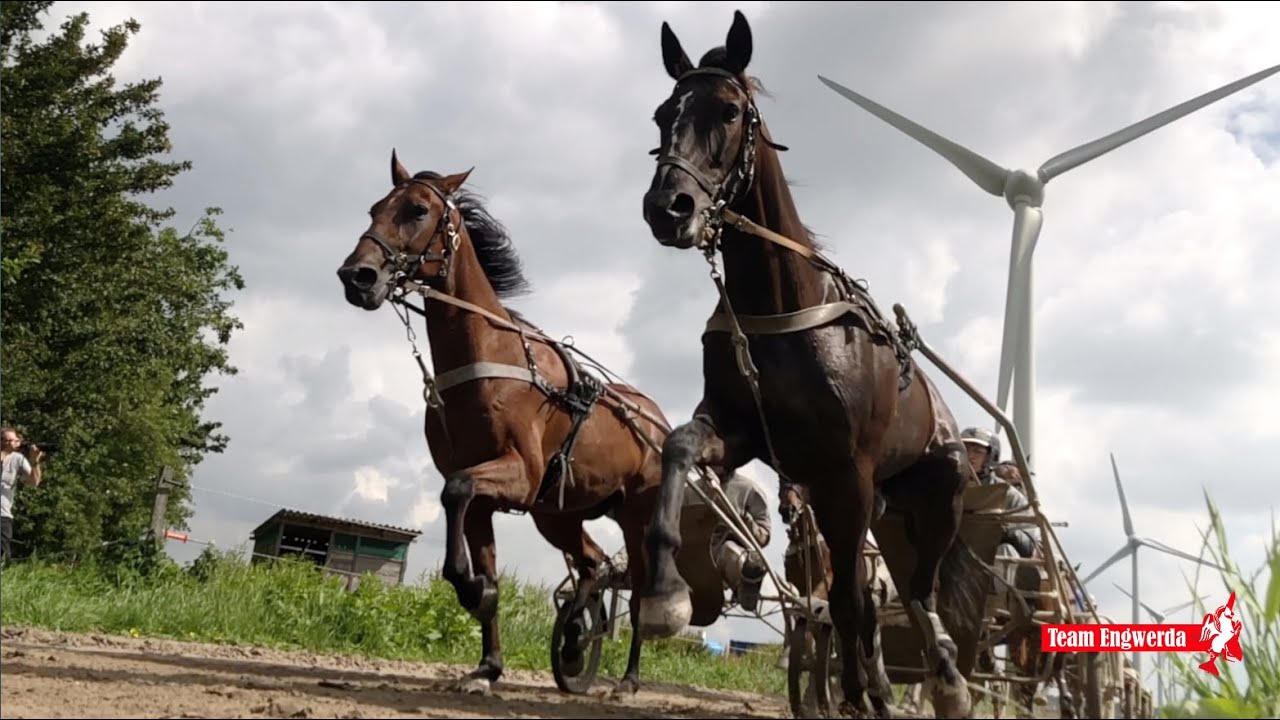 Team Engwerda video 2019
