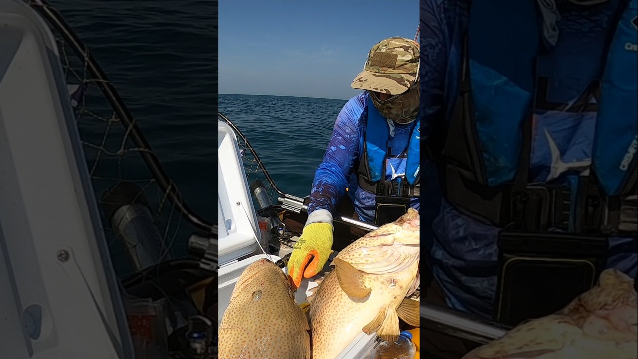 grouper fishing 