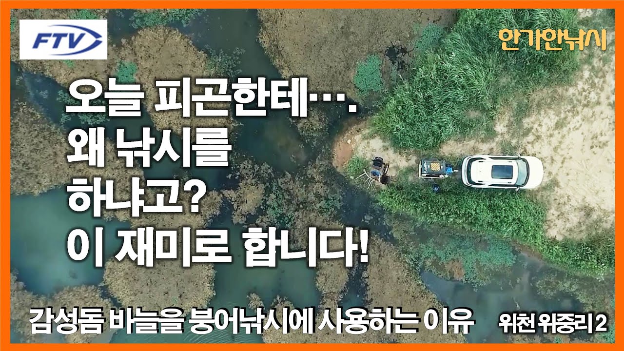 [FTV 한가한낚시] 붕어낚시 왜 하냐고? 이런 재미로 합니다 - 감성돔 바늘을 붕어낚시에서 사용하는 이유 - 위천 위중리2