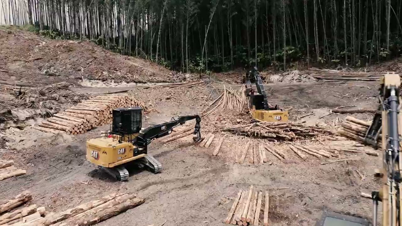 Woodsman 850 recut