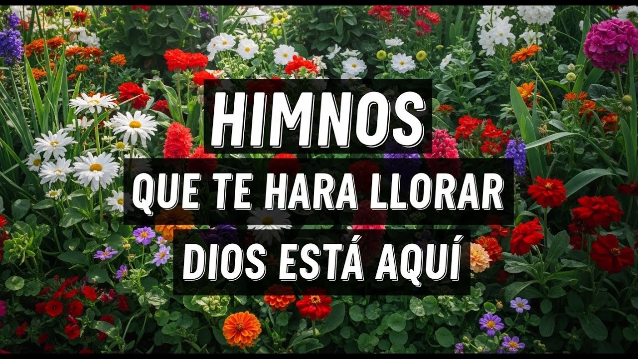 LOS 50 MEJORES HIMNOS DE ORO PARA ESCUCHAR CUANDO ESTÁ TRISTE 2025 || HIMNOS QUE TE HARÁ LLORAR