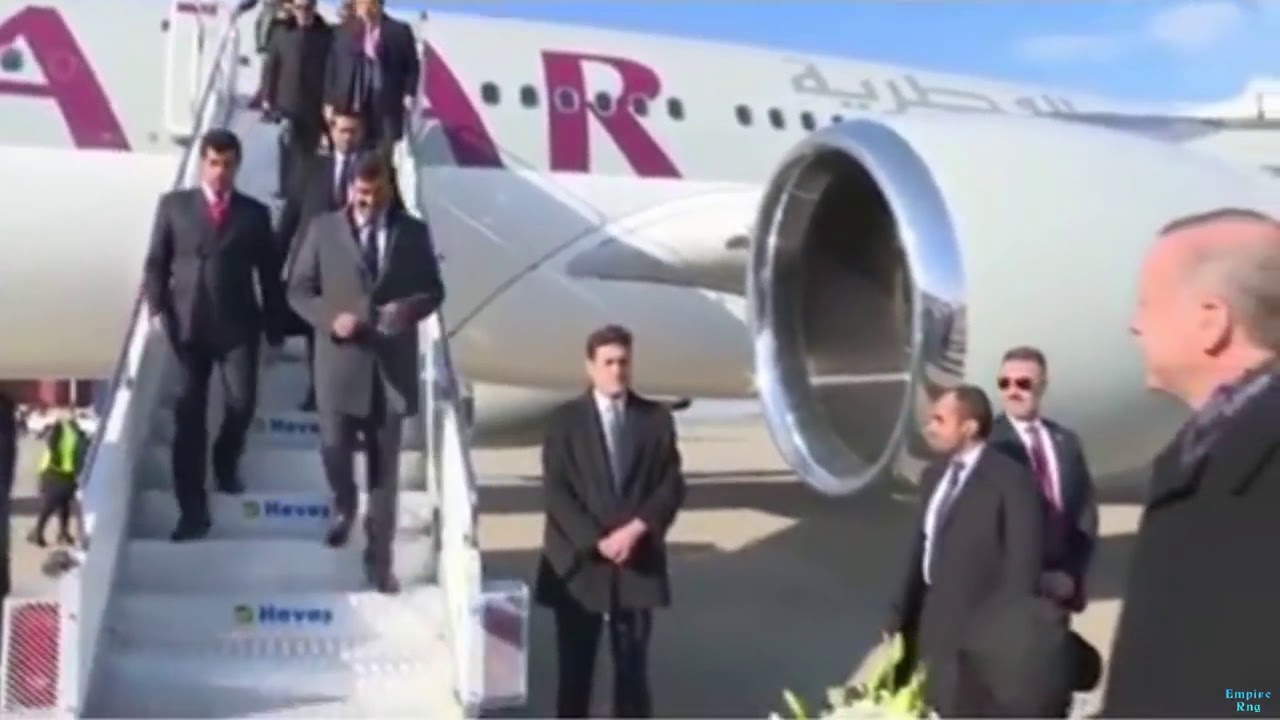 Qatar King - Style - On Qatar Cyco's