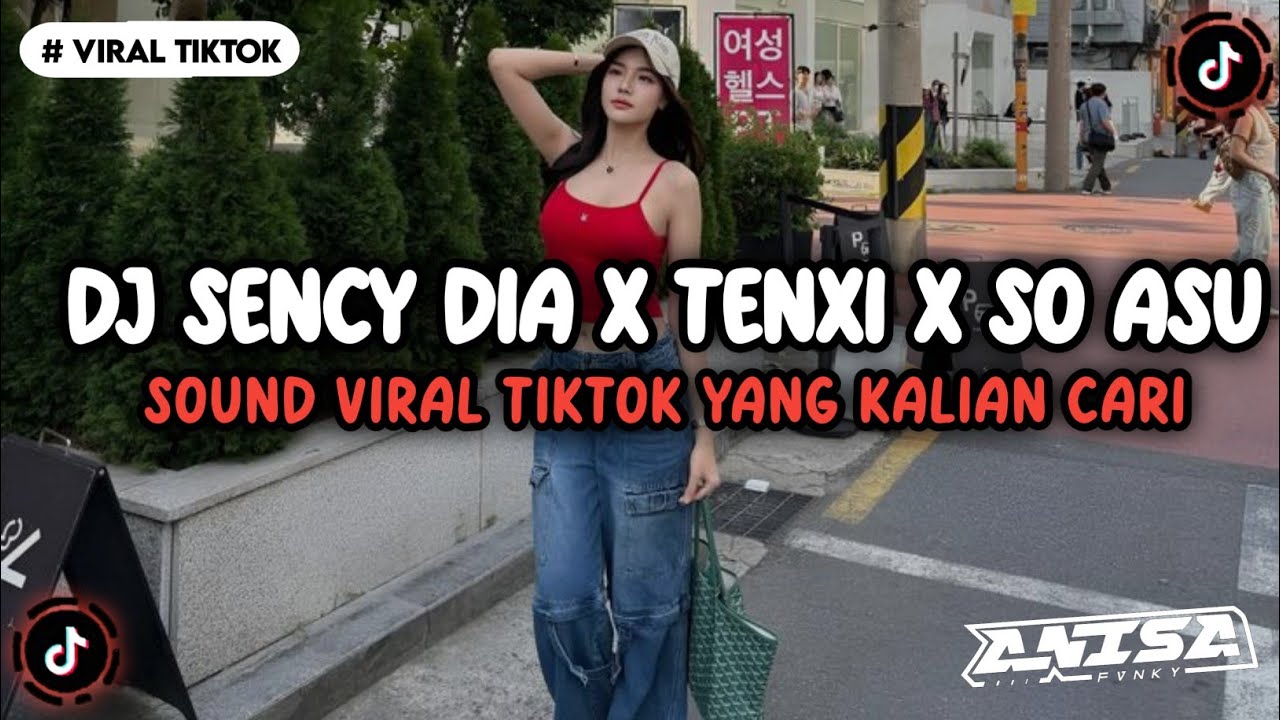 DJ SENCI DIA X TENXI X SO ASU NAYKILLA VIRAL TIKTOK TERBARU YANG KALIAN CARI INI YA 