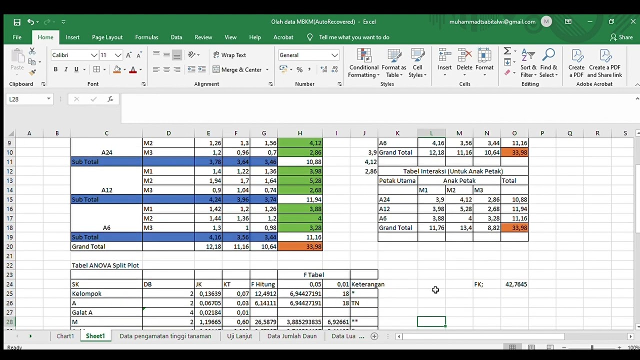 Analisis Data Split Plot (Rancangan Petak Terbagi) RAK (ANOVA dan Uji Lanjut DMRT (DUNCAN) (salah)