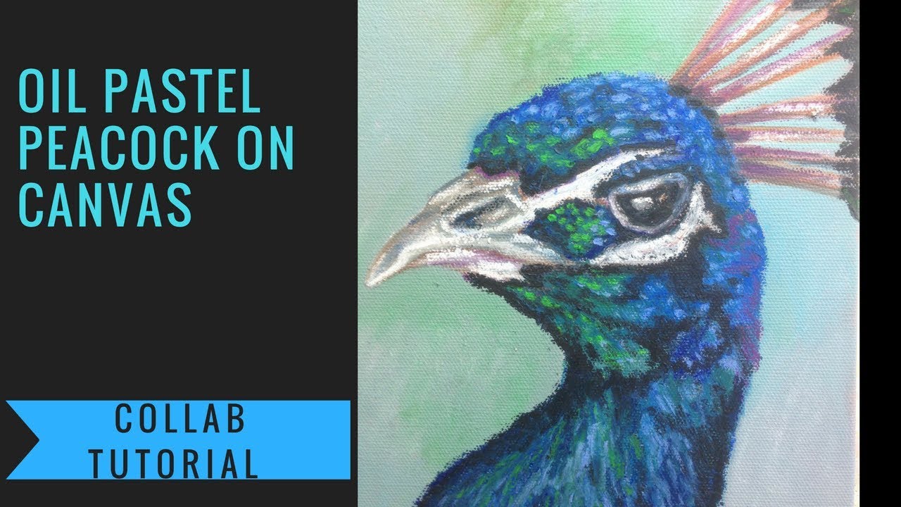 Oil pastel on canvas - Peacock painting – Collab With Syndia