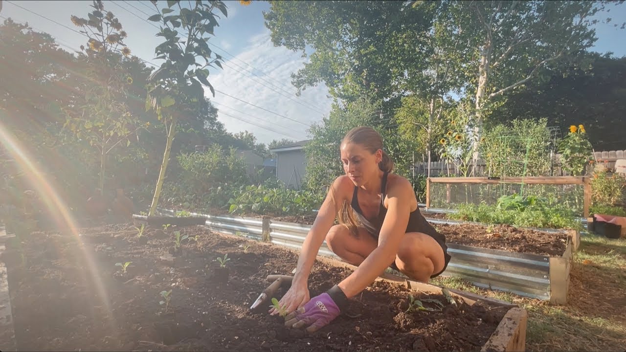Huge Harvest & Reset Day In The Garden! Day In The Life Vlog