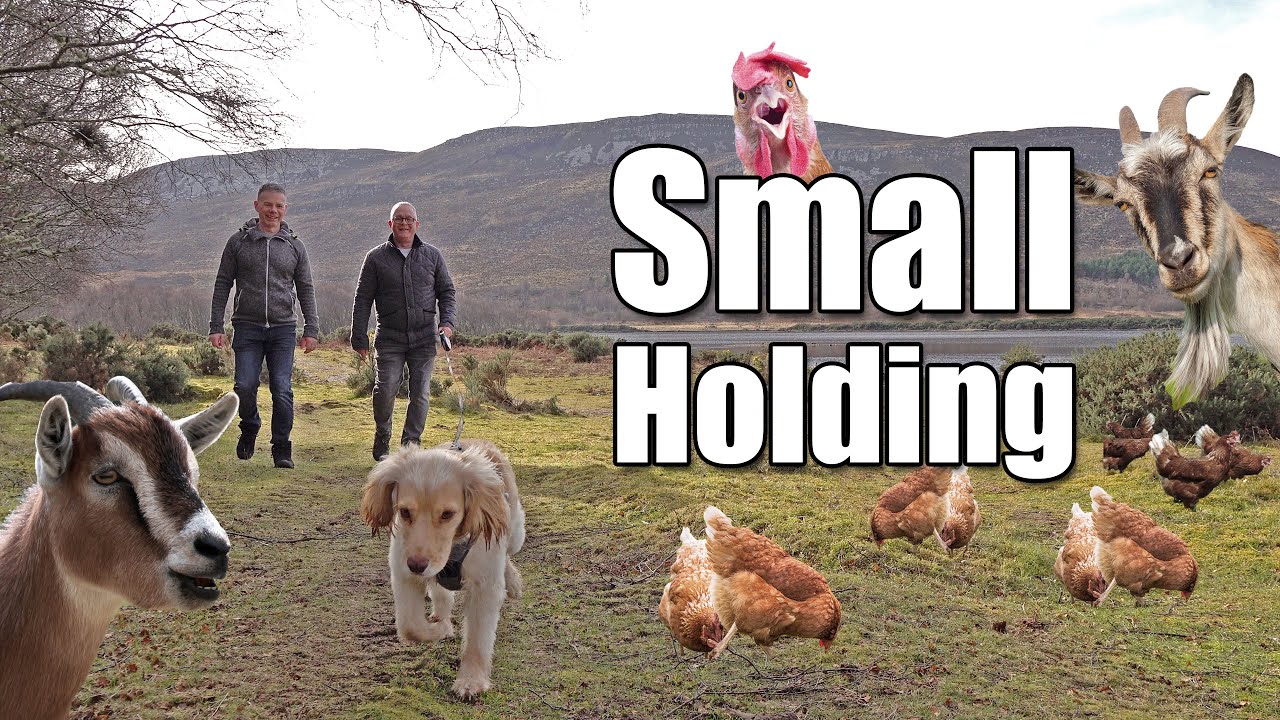 Building A New Self Sufficient Life In Scotland - Ep. 190.