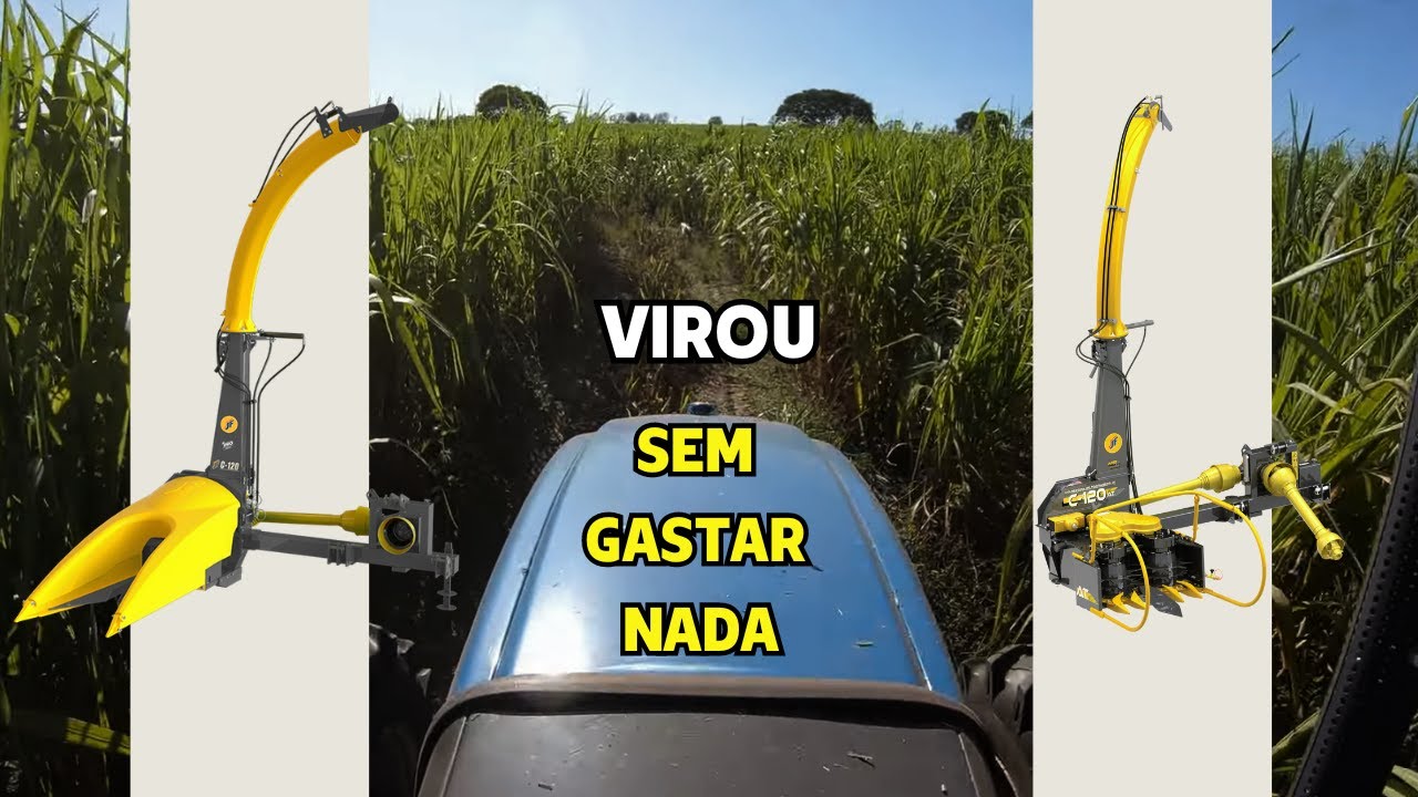 TRANSFORME SUA ENSILADEIRA COMUM EM UMA &Aacute;REA TOTAL SEM GASTAR NADA