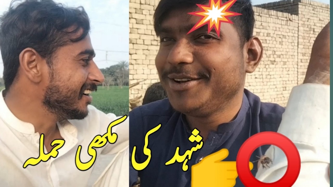 شہد کی مکھی کا حملہ 😱 | دوست کو مکھی نے کاٹ لیا | Funny Vlog
