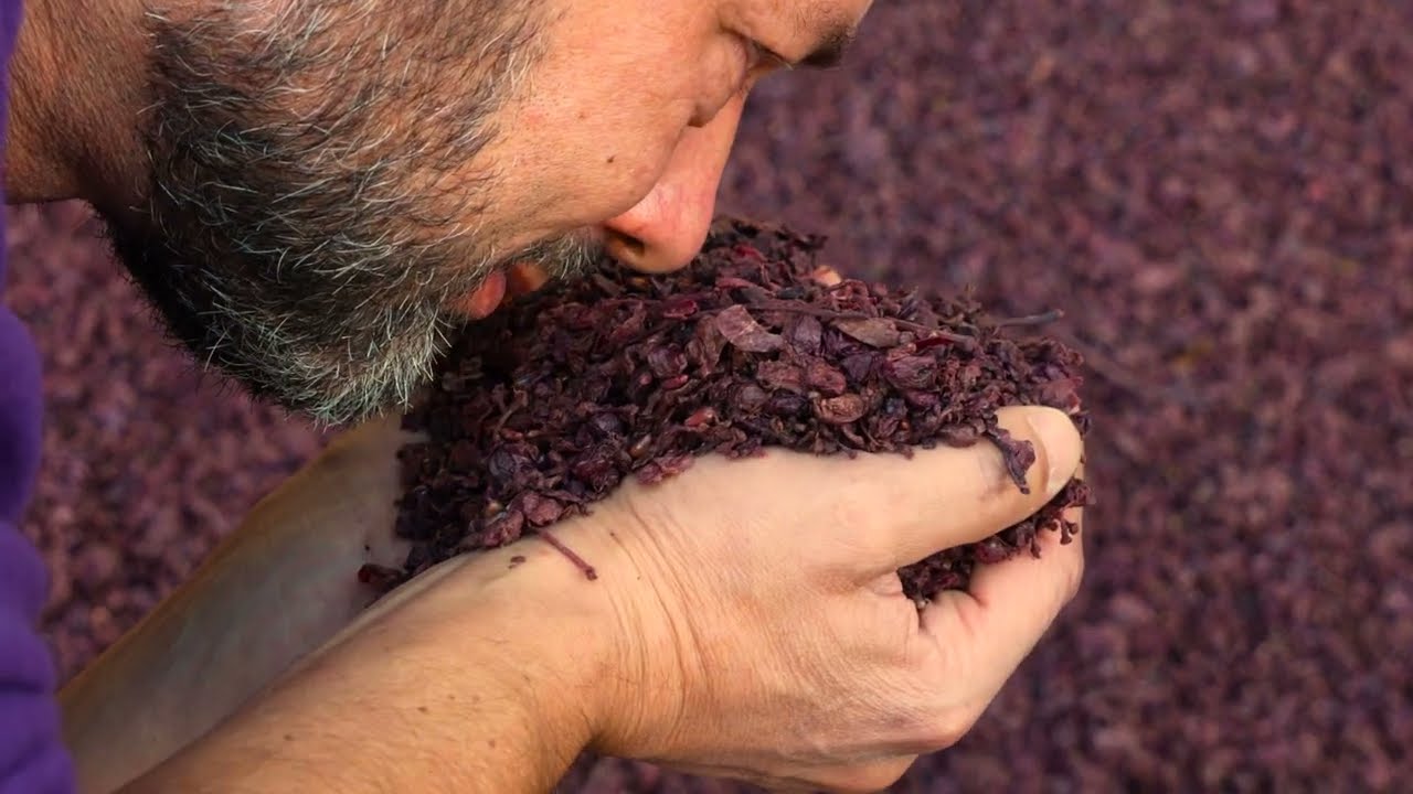 Benvenuti nella Distilleria Castagner...