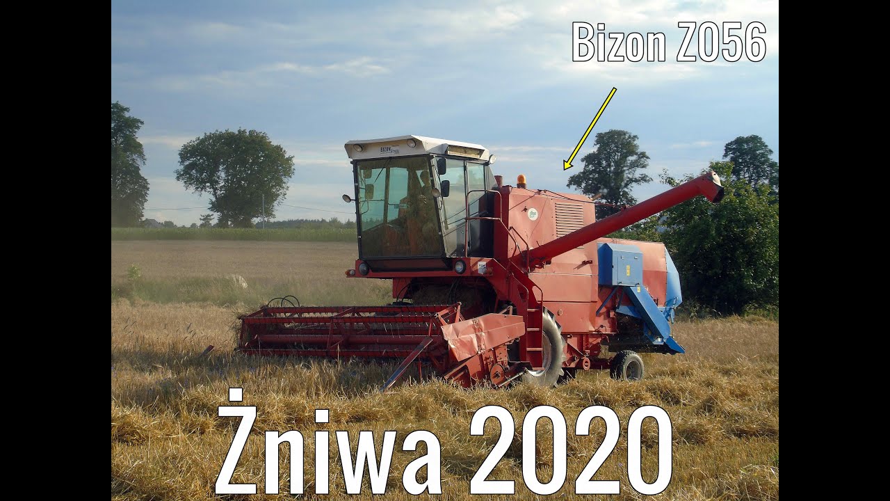 Żniwny Kurz czyli Koszenie Jęczmienia 2020 !  Bizon Z056 & New Holland T6.175