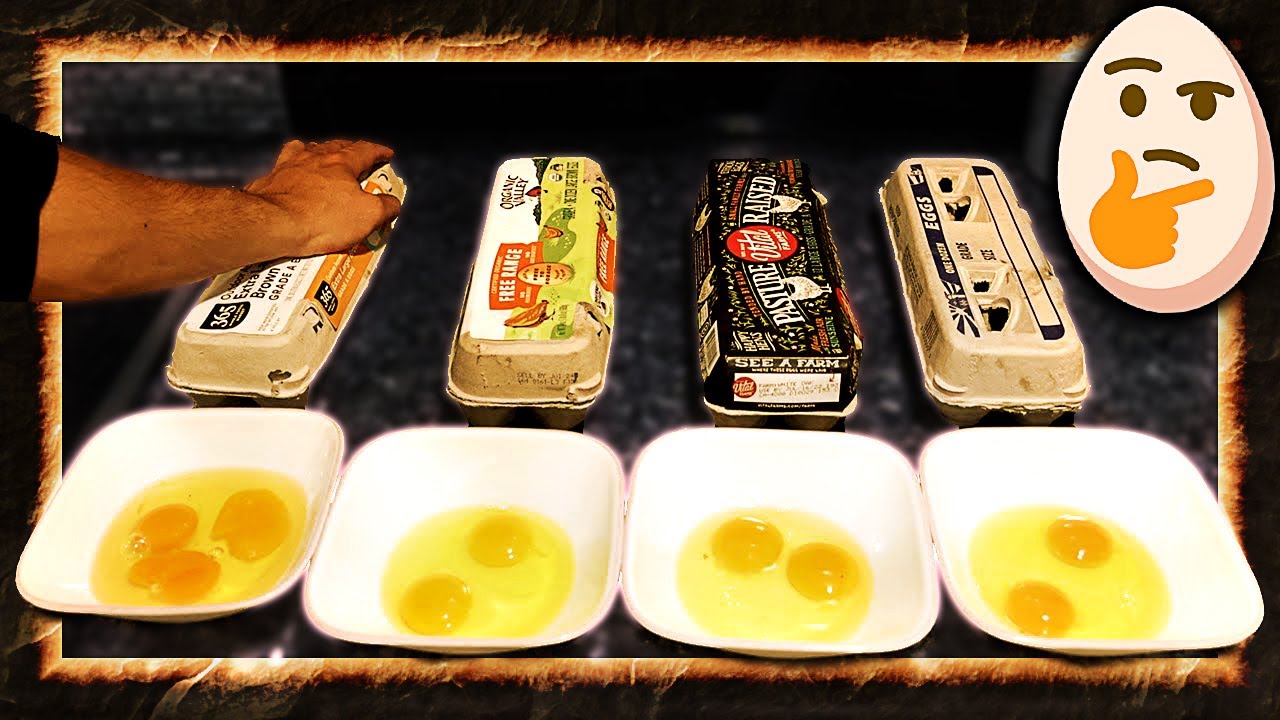 Which Eggs are Good? GROCERY HAUL COMPARISON