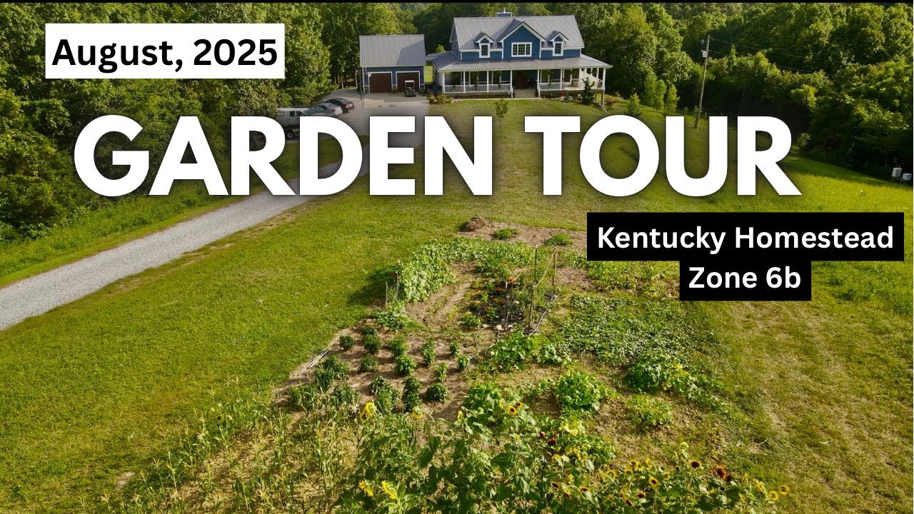 Full Garden Tour | August 2025 | Kentucky Homestead, Zone 6b