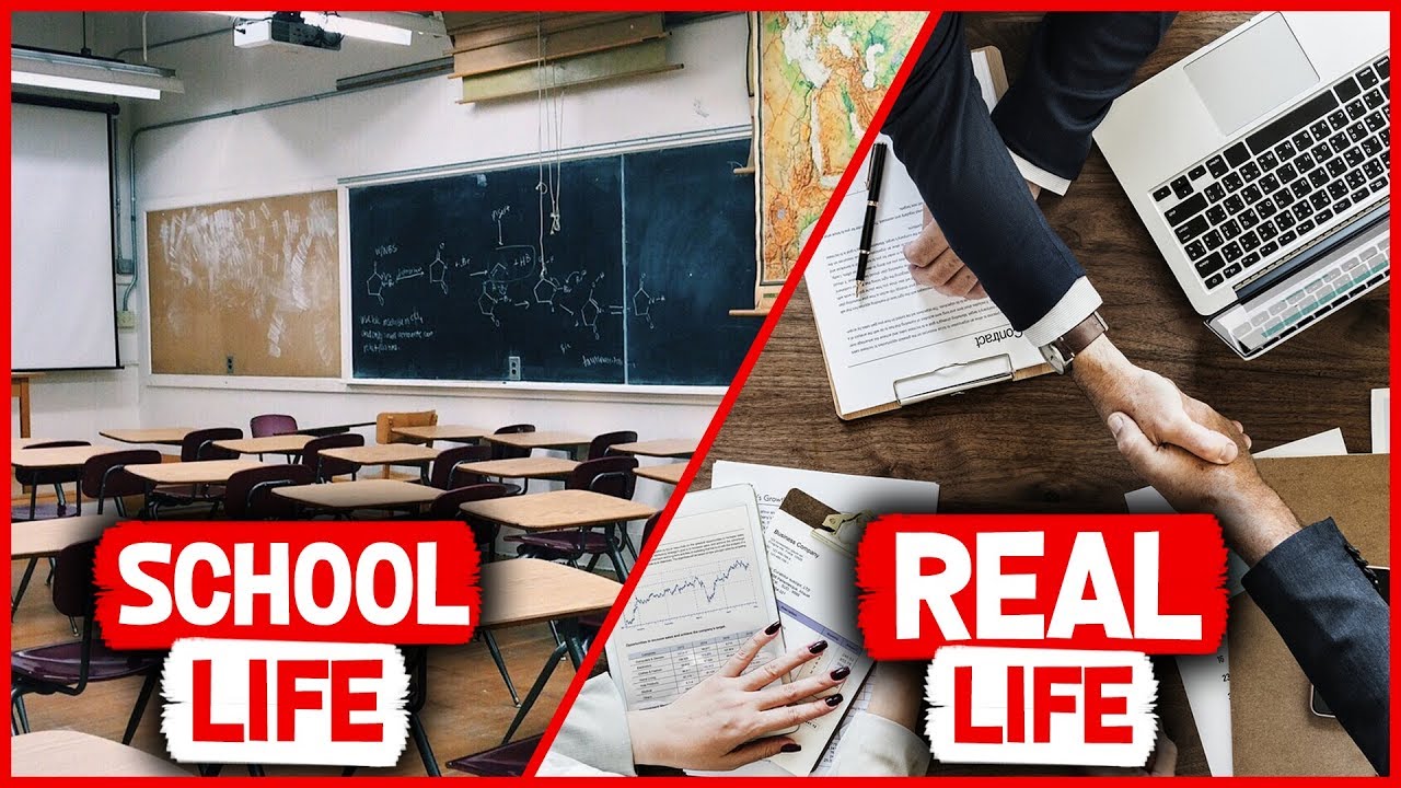School Life Vs Real World | What You Should Know