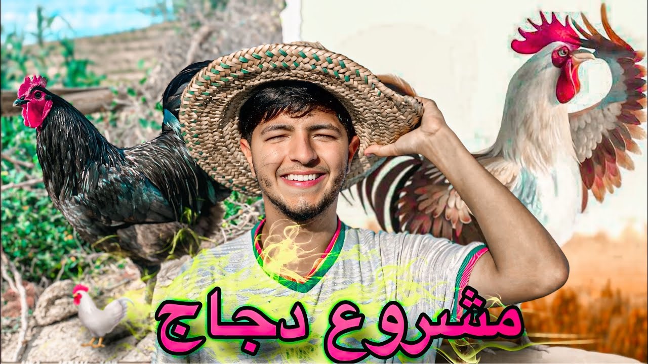 مشروع تربية الحمام هل مربح 🤑 تجريبة تربية دجاج 🐓 