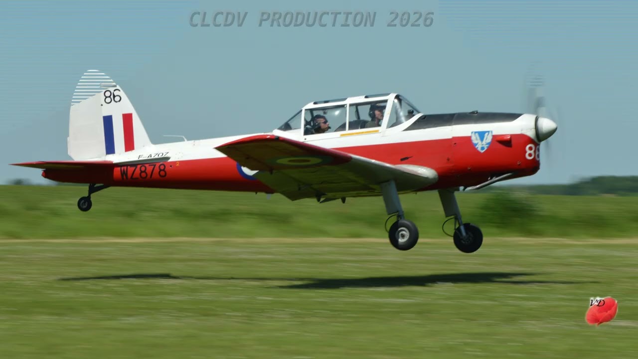 Chipmunk BullChipMeet Bulldog 2017 (J2)
