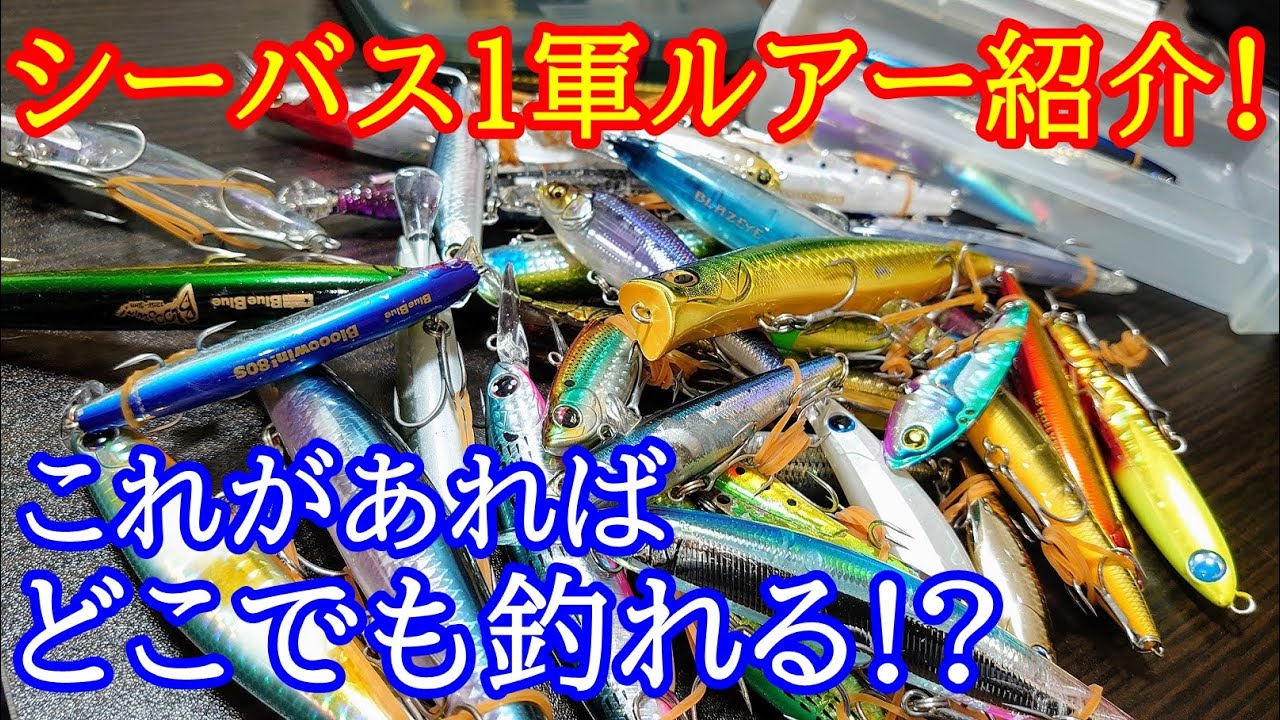 シーバス１軍ルアー紹介！これがあればどこでも釣れる!!遠征用実力派ルアー【デイゲーム】