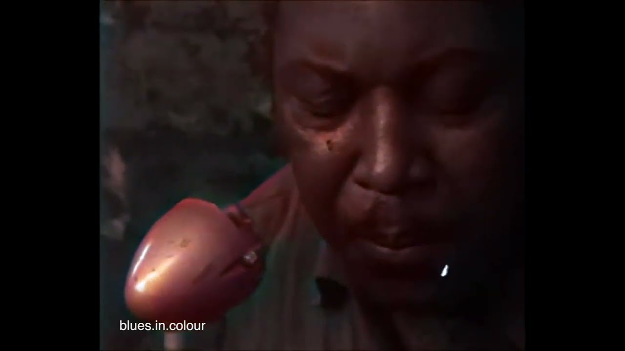 Robert Nighthawk - Cheating & Lying Blues live [Colourised] 1964