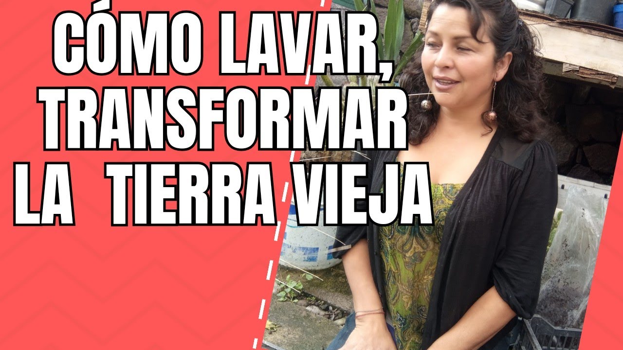 Cómo LAVAR , LIMPIAR , RENOVAR la TIERRA para tus macetas