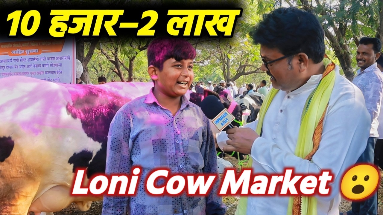 10 हजार से शुरू गाय बाजार 😮 | Loni Cow Market Prices | Real Scene