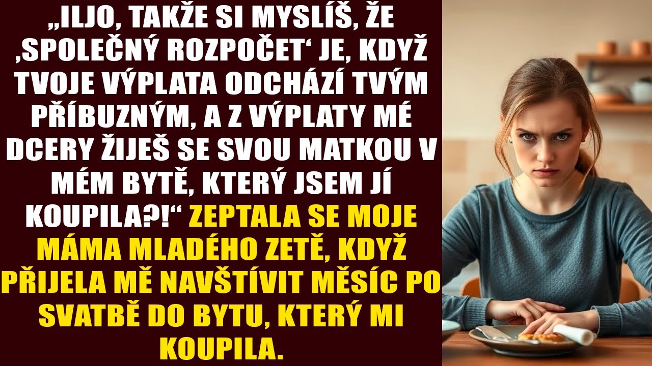 „Iljo, takže si myslíš, že ‚společný rozpočet‘ je, když tvoje výplata odchází tvým příbuzným, a z...