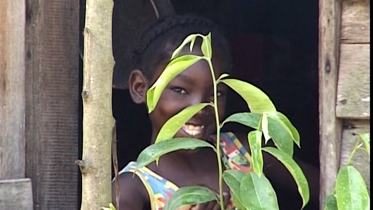 Klaaskreek - Suriname