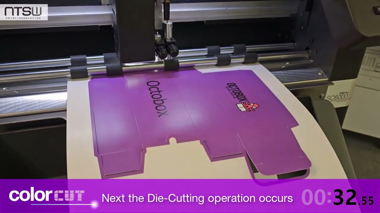 SC6000 Demo for light packaging (NTSW)