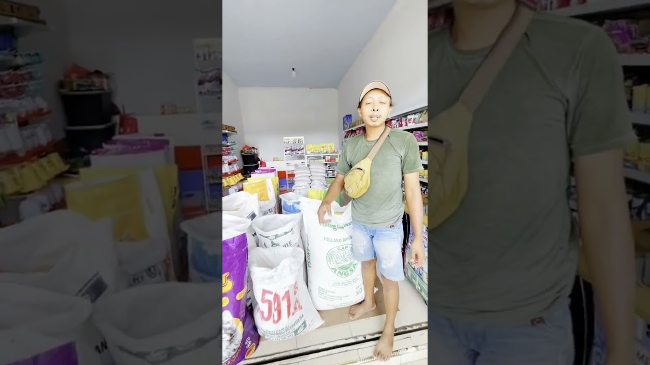 info pakan ternak murah  
