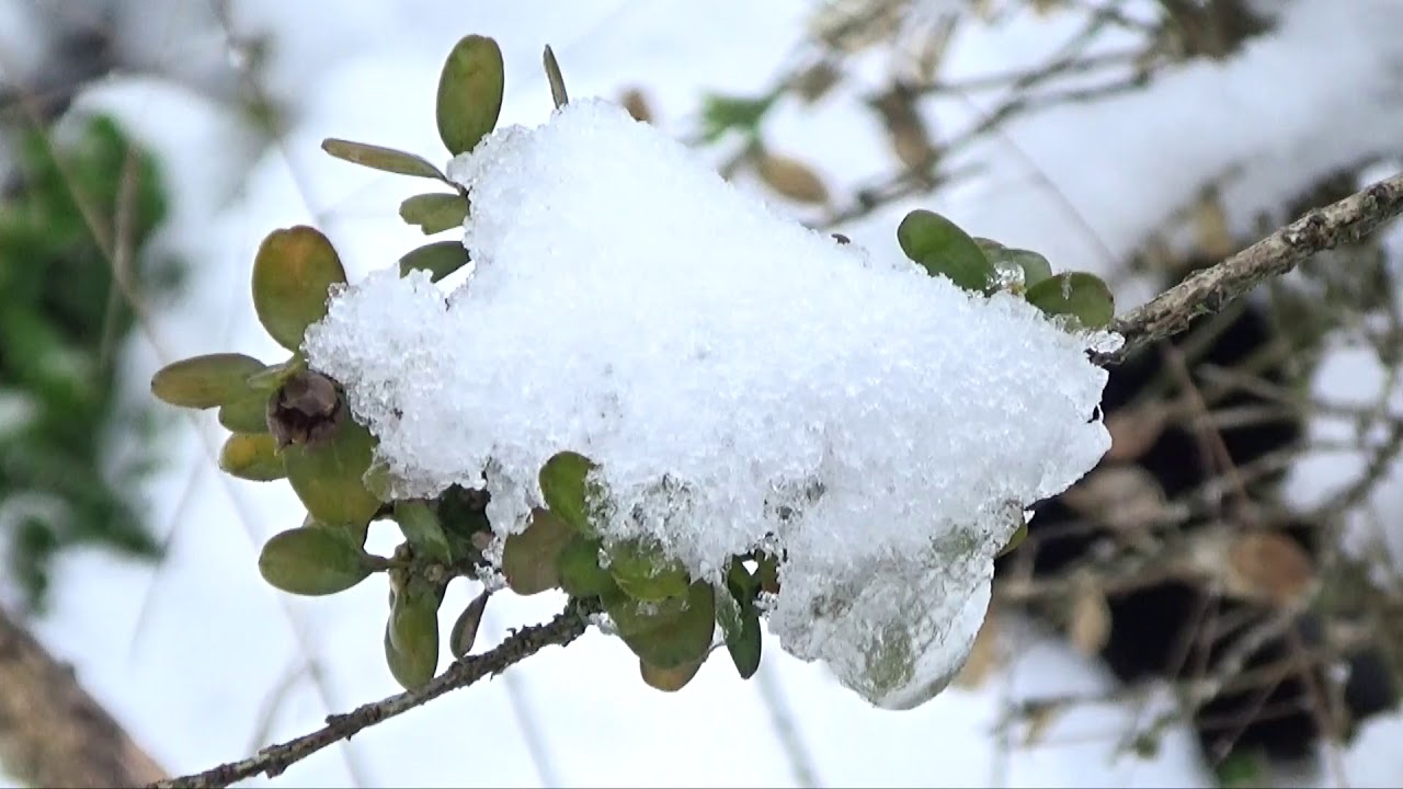 Swindon - Radnor Street cemetery Snow 2019