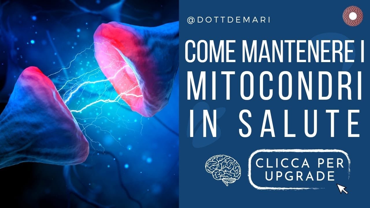 Come mantenere in salute i mitocondri