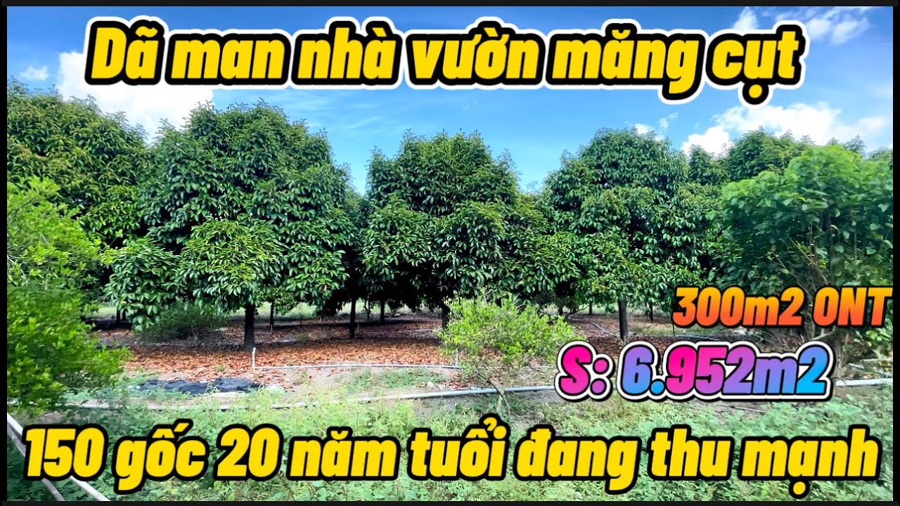 Có 1 không có 2 , nhà cửa kiên cố, chuồng trại chăn nuôi, nguồn thu khủng !