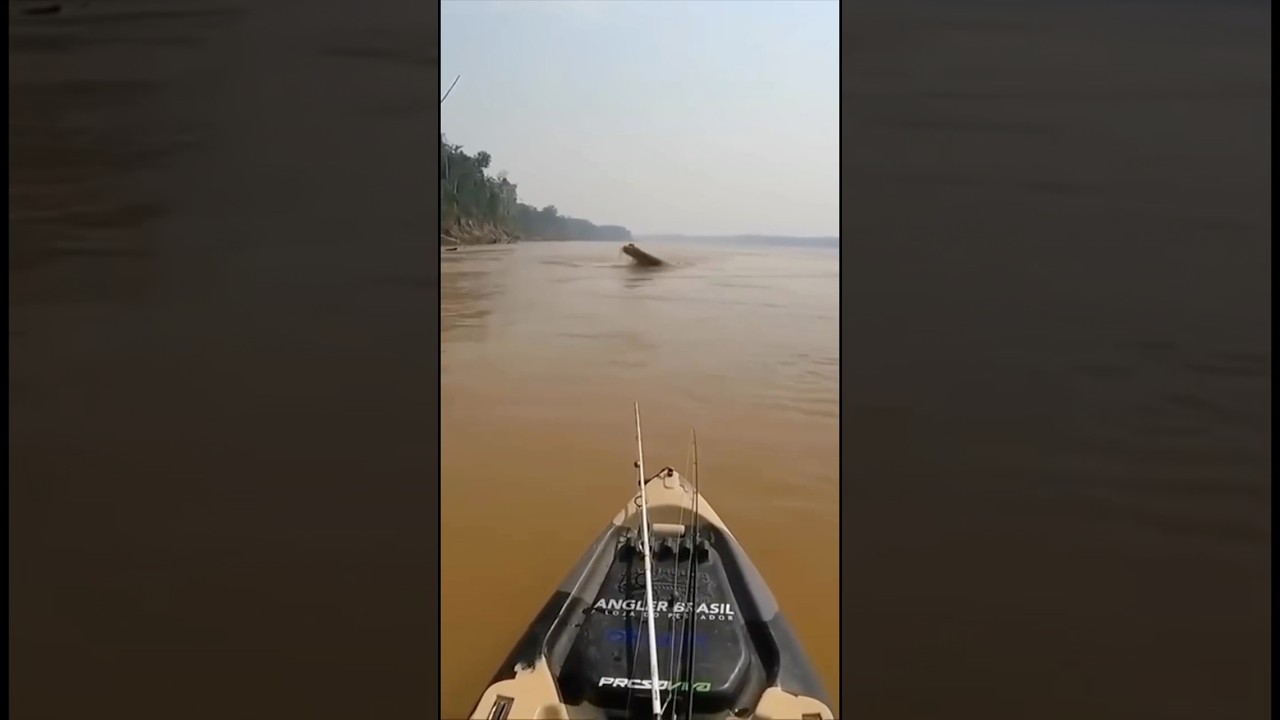 Perigos da nossa Amaz&ocirc;nia 😱