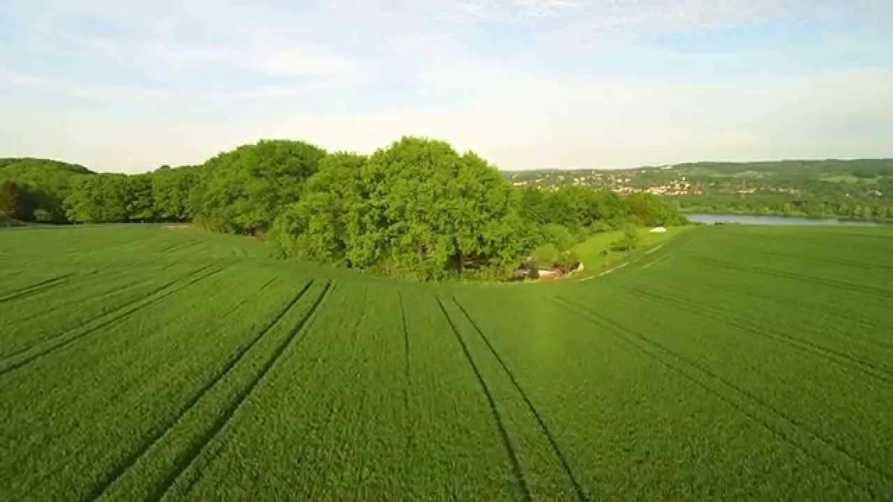 Abendstimmung in Bochum-Stiepel 2015