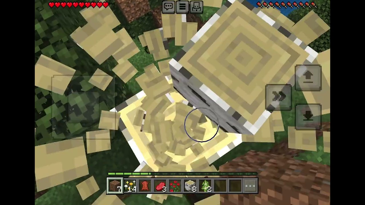 Me sadly losing my world in survival but made a new one ￼
