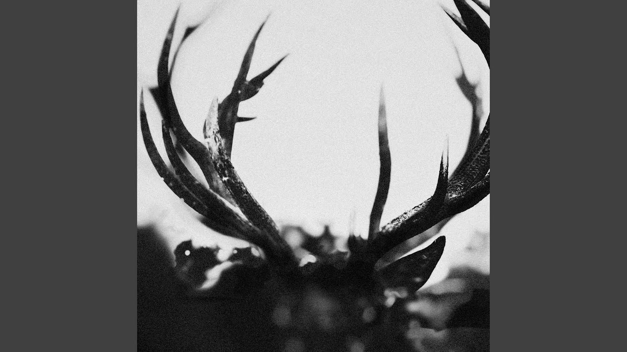 THE PROMETHEAN SPARK