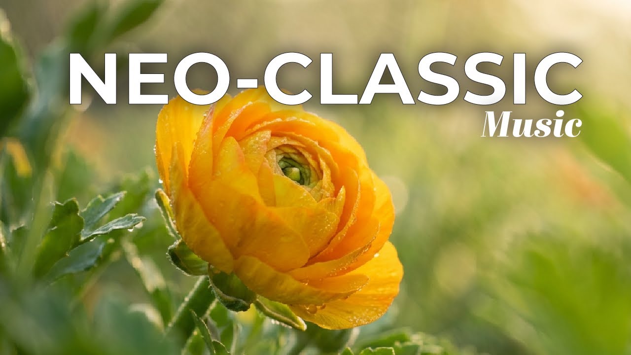 Classical Flow | Study Music for Focus & Productivity